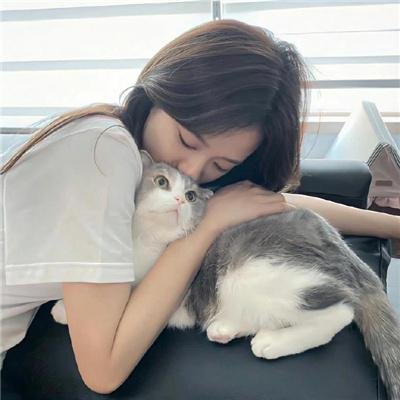 好久不见啊喵